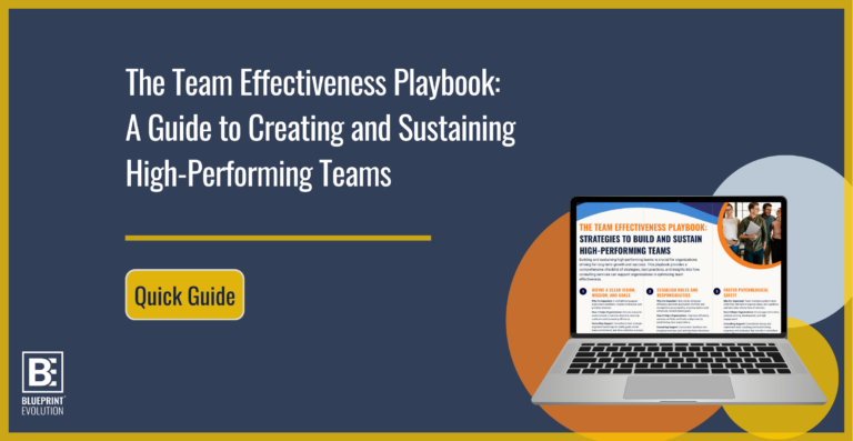 team effectivness playbook