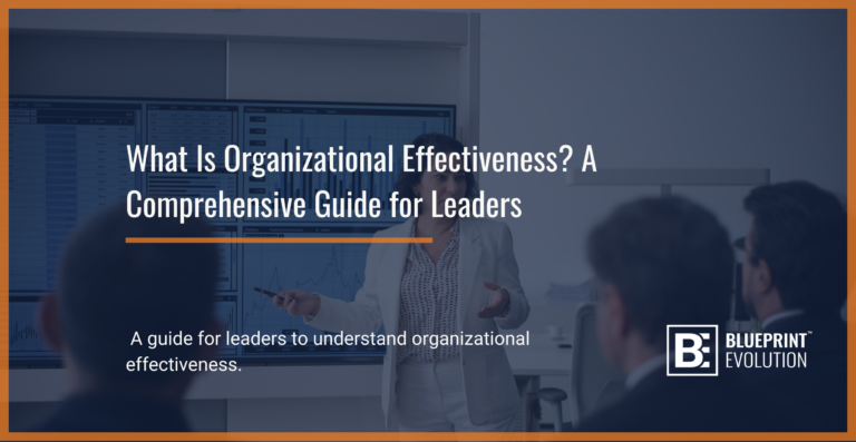 org effectiveness eladers